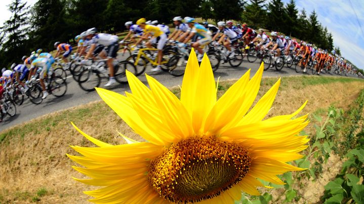 Le peloton du Tour de France lors de la 13e &eacute;tape de l'&eacute;dition 2010, entre Rodez et Revel, le 17 juillet 2010. (LIONEL BONAVENTURE / AFP)