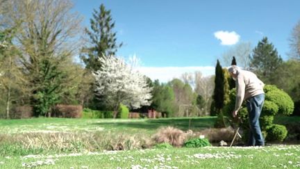 Les jardins, un marché de plus de 6 milliards d’euros