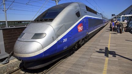 Un TGV &agrave; Avignon, le 27 juin 2011. (COLIN MATTHIEU / AFP)