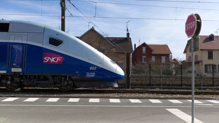 TGV &nbsp;à l'arrêt, à Belfort, en mars 2013. (SEBASTIEN BOZON / AFP)