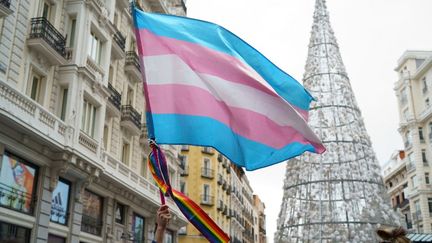 Un drapeau lors d'une manifestation, le 20 novembre 2021 à Madrid (Espagne). (OSCAR GONZALEZ / NURPHOTO / AFP)