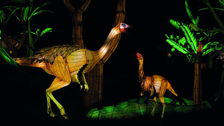 Exposition "Jurassique en voie d’illumination" au Jardin des Plantes à Paris : l'ornithomimosaure (MELODY POIRIER)