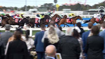 Une course hippique, à Melbourne (Australie), le 7 novembre 2017.&nbsp; (PAUL CROCK / AFP)