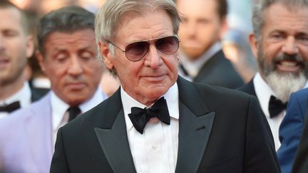 L'acteur am&eacute;ricain Harrison Ford, le 18 mai 2014 au festival de Cannes (Alpes-Maritimes). (ALBERTO PIZZOLI / AFP)