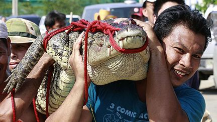 Outre les maladies, les autorit&eacute;s ont appel&eacute; les r&eacute;sidents proches des fleuves &agrave; se m&eacute;fier des serpents et des crocodiles. Une r&eacute;compense ayant m&ecirc;me &eacute;t&eacute; promise &agrave; chaque crocodile captur&eacute;. (APICHART WEERAWONG / REUTERS)