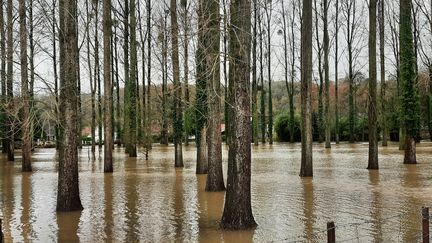 Les habitants du Pas-de-Calais font face à des alertes inondations à répétition depuis le début du mois de novembre 2023. (FARIDA NOUAR / FRANCEINFO)