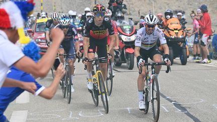 Reverra-t-on Julian Alaphilippe (Deceuninck - Quick-Step) et Wout Van Aert (Jumbo-Visma), ici dans le Mont Ventoux le 7 juillet 2021, dans l’échappée du jour ? (DAVID STOCKMAN / BELGA MAG / AFP)