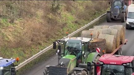 Colère des agriculteurs : le mouvement s'amplifie partout en France