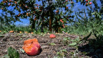 Drôme : une commune dévastée par les orages