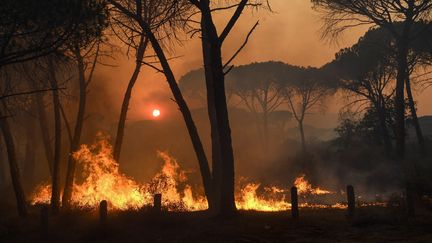 A Gonfaron (Var), le 17 août 2021. (NICOLAS TUCAT / AFP)