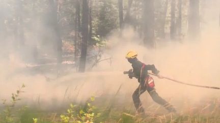 Incendies en Gironde : les pompiers en première ligne (FRANCEINFO)