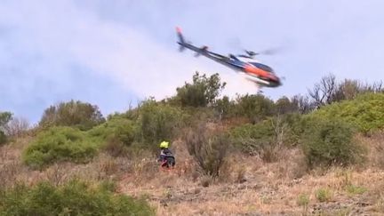 Var : plusieurs départs d'incendies sur l'autoroute A8 au niveau de Fréjus