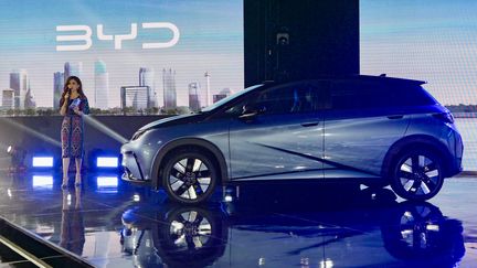 The BYD Dolphin (illustrative photo). (BAY ISMOYO / AFP)