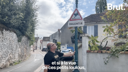 Vous avez déjà vu un panneau de signalisation routière "Chat en balade, ralentir" ? Eh bien, il y en a 36 dans la commune de Mennecy, en Essonne. C'est Lionel qui les a fait poser pour éviter que les chats se fassent écraser. Il raconte. (Brut.)