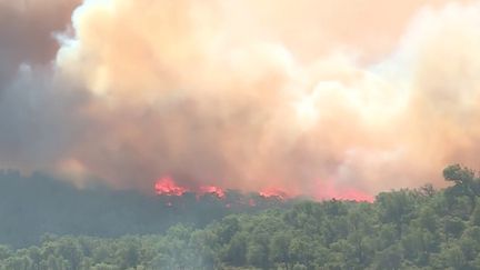 Un incendie s'est déclaré jeudi 12 septembre à Castelnou (Pyrénées-Orientales). Les flammes, attisées par le vent, ont démarré à proximité du village. Les habitants ont été évacués.