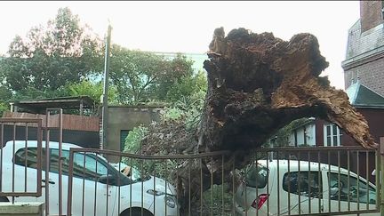 Normandie : une circulation entravée par la tempête Aurore