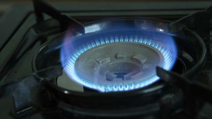 La hausse du prix du gaz sera limitée à 15% en 2023, a annoncé, mercredi 14 septembre, la première ministre Elisabeth Borne. (MALTE OSSOWSKI/SVEN SIMON / SVEN SIMON)