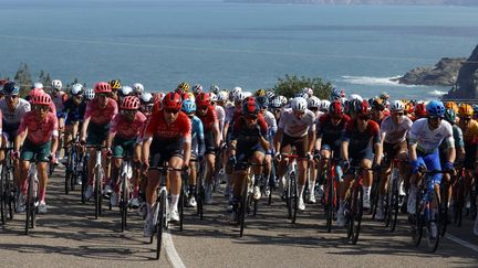 Le peloton dans les vallées pyrénéennes, le 22 mars 2022 lors de la deuxième étape du Tour de Catalogne entre L'Escala et Perpignan. (TONI ALBIR / EPA via MaxPPP)