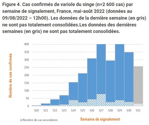 Nombre de cas confirmés de variole du singe en France, entre mai et août 2022. (SANTE PUBLIQUE FRANCE)