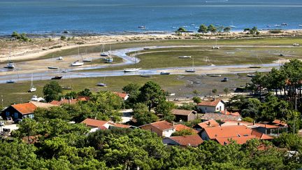 Lège-Cap-Ferret sur le Bassin d’Arcachon (Gironde). (PHILIPPE ROY / PHILIPPE ROY)