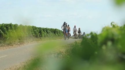 France 3 vous dait découvrir la cyclo-route des vins de la cote de Beaune. (France 3)