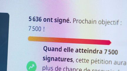 Les collectivités territoriales voient leurs factures d'énergie exploser. Un maire de&nbsp;Seine-Saint-Denis a lancé une pétition : il demande notamment une taxe sur les superprofits des fournisseurs d'énergie.&nbsp; (FRANCE 3)