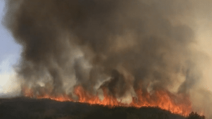 Incendies en Californie : 12 000 personnes évacuées