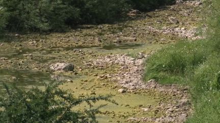 Canicule : la crainte d'une nouvelle sécheresse dévastatrice