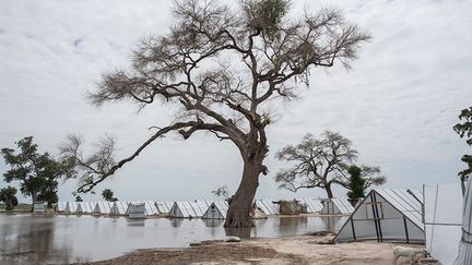 la violence de Boko Haram dans la région du lac Tchad a conduit le gouvernement nigérian à accentuer la pression militaire contre les djihadistes. Cette escalade de la violence a conduit à une grave crise humanitaire.  (Stefan Heunis/AFP)
