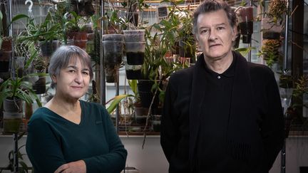 Anne Lacaton et Jean-Philippe Vassal dans leur atelier à Montreuil.&nbsp; (JOEL SAGET / AFP)