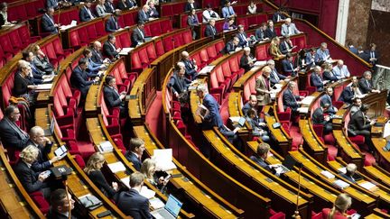 Les députés siègent à l'Assemblée nationale, à Paris, le 12 octobre 2022. (GAUTHIER BEDRIGNANS / HANS LUCAS / AFP)