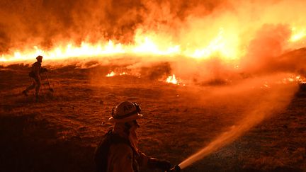 Des pompiers tentent de lutter contre contre les flammes à Upper Lake (Californie, Etats-Unis),le 2 août 2018. (MARK RALSTON / AFP)