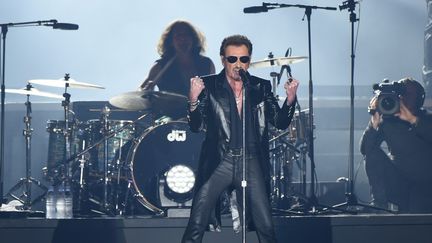 Hallyday en concert à Bruxelles le 26 mars 2016
 (PATRIK STOLLARZ / AFP)