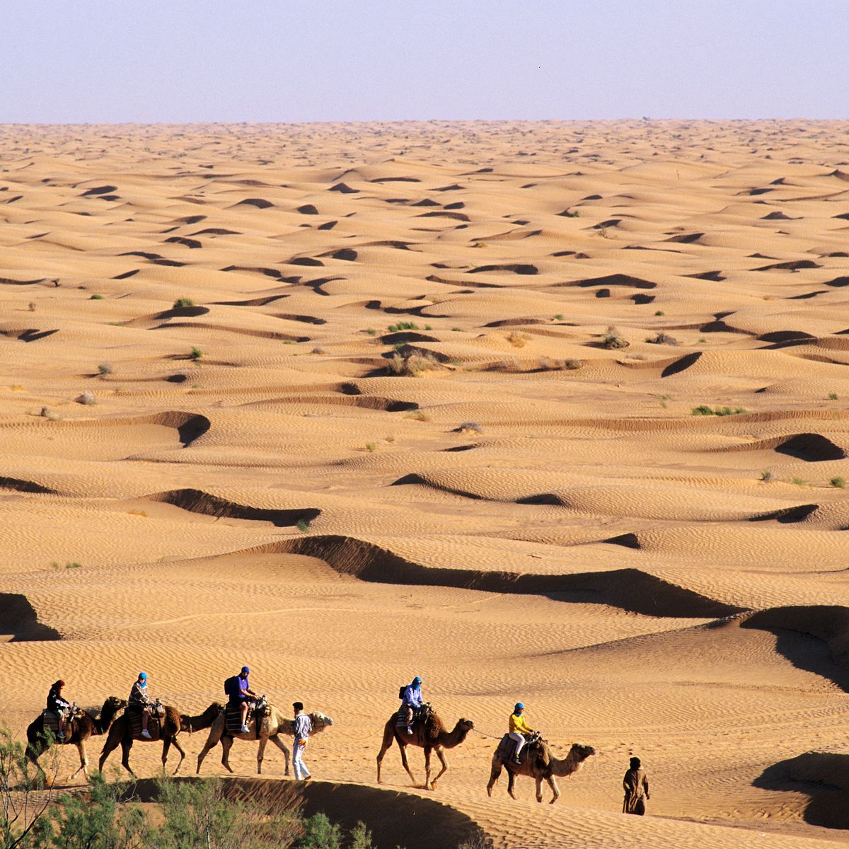 les touaregs du sahara