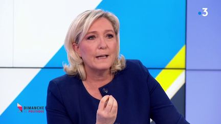 Marine Le Pen sur le plateau de France 3, le 17 mars 2019.&nbsp; (FRANCE 3)