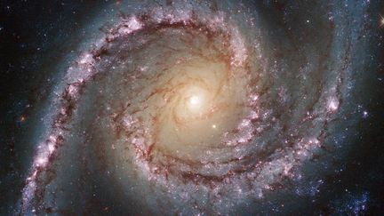 La&nbsp;galaxie NGC 1566, situ&eacute;e &agrave; 40 millions d'ann&eacute;es-lumi&egrave;re de la Terre, photographi&eacute;e par le t&eacute;lescope spatial Hubble. Le clich&eacute; a &eacute;t&eacute;&nbsp;diffus&eacute; par la Nasa le 10 juin 2014. (NASA / ESA / HUBBLE / AFP)