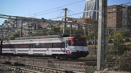 Un train de la compagnie espagnole Renfe. Photo d'illustration. (FERNANDO VILLAR / EFE)