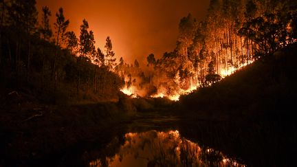 Le feu se reflète dans une étendue d'eau à Penela, dans la région de Coimbra au Portugal, le 18 juin 2017. Un feu de forêt dans le centre du pays a tué au moins 25 personnes et blessé 16 autres, la plupart d'entre eux ayant été pris au piège dans leurs voitures.&nbsp; (PATRICIA DE MELO MOREIRA / AFP)
