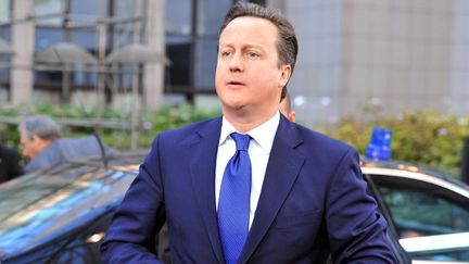 Le premier Ministre britannique, David Cameron &agrave; son arriv&eacute;e &agrave; Bruxelles, le 22 novembre 2012 (GEORGES GOBET / AFP)