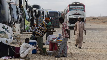 Sudanese drivers wait near their buses as they arrive in the Egyptian village of Wadi Karkar on May 14, 2023, after fleeing war-torn Sudan.  (KHALED DESOUKI / AFP)