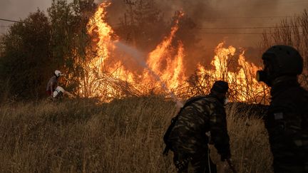 Des volontaires tentent d'éteindre un feu de forêt près de Penteli, au nord-est d'Athènes (Grèce), le 12 août 2024. (ANEGLOS TZORTZINIS / AFP)