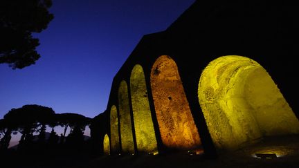 L'ancien amphithéâtre de Pompéi (5 août 2015)
 (Mario Laporta / AFP)