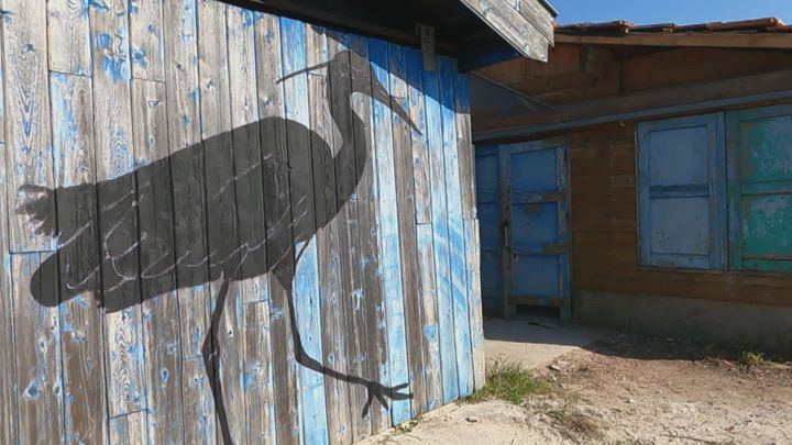 Aigrette en cours de création sur une cabane d'ostréiculteur du Bassin d'Arcachon&nbsp; (A-MO)