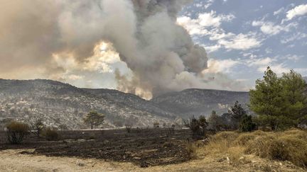 Le mont Parnitha, aux portes d'Athènes, ravagé par les flammes, le 23 août 2023. (SPYROS BAKALIS / AFP)