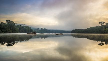 Le fleuve Oyapock près de Camopi, en Guyane, le 28 octobre 2014. (BRUSINI AURELIEN / HEMIS.FR / AFP)