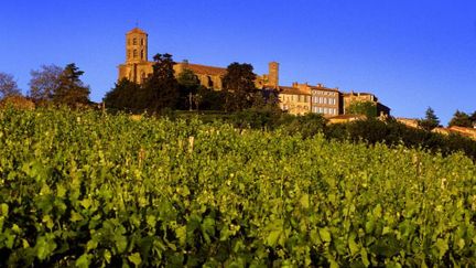 Le vignoble du Languedoc se distingue par ses paysages variés : il est adossé aux flancs des Cévennes, niché aux pieds des Pyrénées, accroché au Massif des Corbières ou lové dans la Montagne Noire. (AUDE TOURISME)