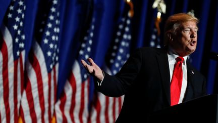 Le président des Etats-Unis Donald Trump lors d'un discours à Washington, le 17 mai 2019. (CARLOS BARRIA / REUTERS)