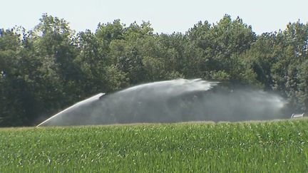 Gaspillage de l'eau : les agriculteurs dans le rouge selon la Cour des comptes européenne