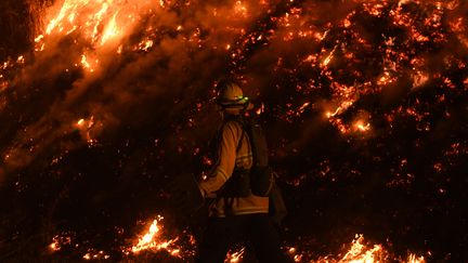 Certains pompiers sont obligés d'allumer des contre-feux pour tenter de faire face aux flammes qui ravagent tout sur leur passage près de la ville d'Upper Lake en Californie, le 2 août 2018. (MARK RALSTON / AFP)