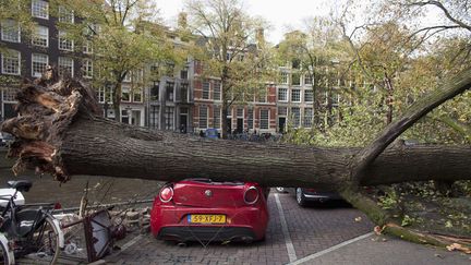 Un arbre tomb&eacute; sur une voiture a &eacute;galement tu&eacute; une automobiliste et fait deux bless&eacute;s grave, lundi 28 octobre &agrave; Amsterdam. ( REUTERS)